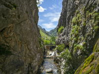 The Cares Trail (Ruta del Cares) in Asturias, Spain, on July 11, 2024, is one of the most popular trekking paths within the Picos de Europa....