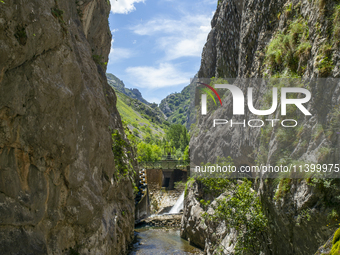 The Cares Trail (Ruta del Cares) in Asturias, Spain, on July 11, 2024, is one of the most popular trekking paths within the Picos de Europa....