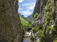 The Cares Trail (Ruta del Cares) in Asturias, Spain, on July 11, 2024, is one of the most popular trekking paths within the Picos de Europa....