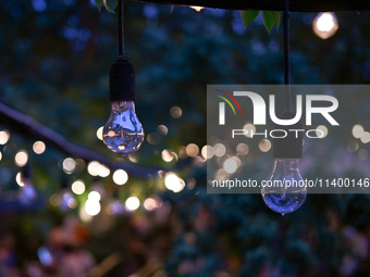 Light bulbs are being used as part of string lights at an outdoor cafe in Lviv, Ukraine, on July 5, 2024. NO USE RUSSIA. NO USE BELARUS. (