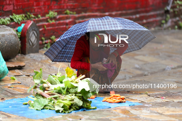 A Nepali vendor is taking shelter under an umbrella as she sits on the roadside selling vegetables in Kathmandu, Nepal, on July 11, 2024. Ne...