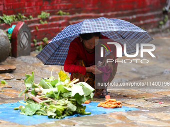 A Nepali vendor is taking shelter under an umbrella as she sits on the roadside selling vegetables in Kathmandu, Nepal, on July 11, 2024. Ne...