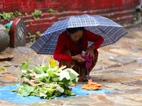 A Nepali vendor is taking shelter under an umbrella as she sits on the roadside selling vegetables in Kathmandu, Nepal, on July 11, 2024. Ne...