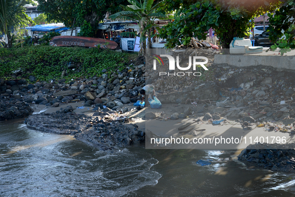 A scavenger is collecting plastic bottle waste at Padang Beach in Padang City, West Sumatra, Indonesia, on July 11, 2024. The lack of awaren...