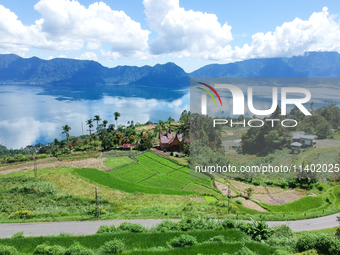 An aerial view is showing Lake Maninjau in Agam Regency, West Sumatra, Indonesia, on July 11, 2024. The Maninjau caldera is being formed by...