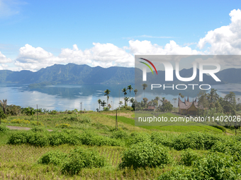 A view is showing in Lake Maninjau, Agam Regency, West Sumatra, Indonesia, on July 11, 2024. The Maninjau caldera is forming by a volcanic e...