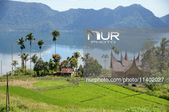 A view is showing in Lake Maninjau, Agam Regency, West Sumatra, Indonesia, on July 11, 2024. The Maninjau caldera is forming by a volcanic e...