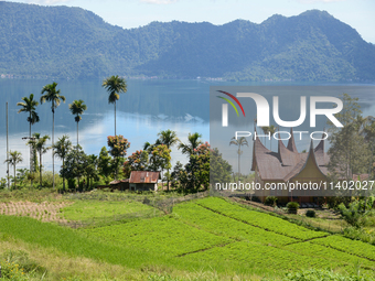 A view is showing in Lake Maninjau, Agam Regency, West Sumatra, Indonesia, on July 11, 2024. The Maninjau caldera is forming by a volcanic e...