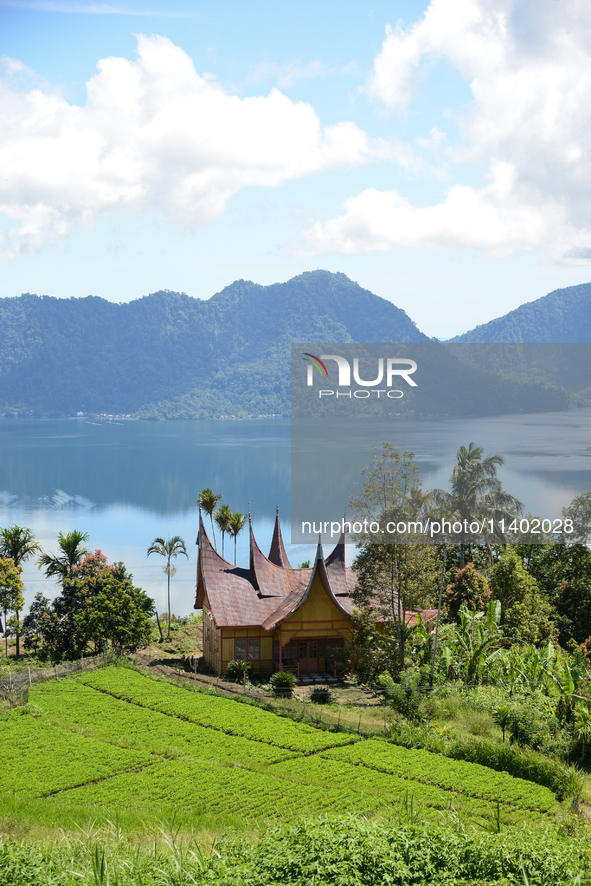 A view is showing in Lake Maninjau, Agam Regency, West Sumatra, Indonesia, on July 11, 2024. The Maninjau caldera is forming by a volcanic e...