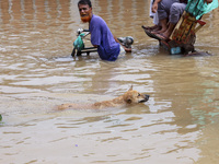 People are moving on rickshaws along a flooded street after a downpour in Dhaka, Bangladesh, on July 12, 2024. (