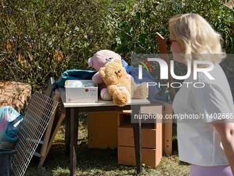 Teddy bears are being placed on the premises of the Ohmatdyt National Specialized Children's Hospital, devastated by the Russian missile att...