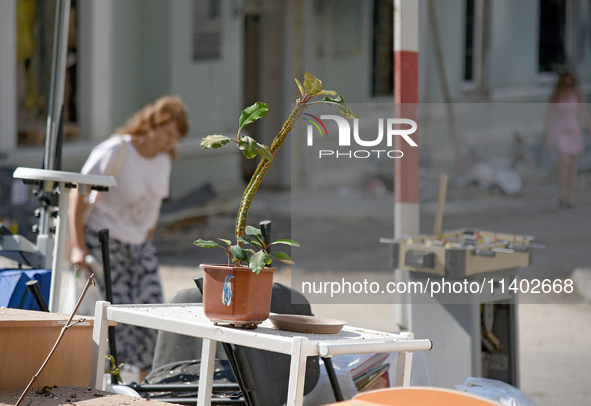 A potted plant is sitting at the Ohmatdyt National Specialized Children's Hospital, devastated by the Russian missile attack on July 8, in K...