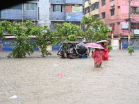 The drum of incessant rainfall woke the people of Dhaka city on Friday as a heavy monsoon shower poured down on the capital.

The rain, wh...