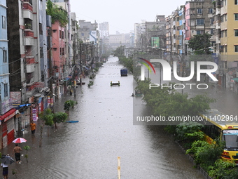 The drum of incessant rainfall woke the people of Dhaka city on Friday as a heavy monsoon shower poured down on the capital.

The rain, wh...