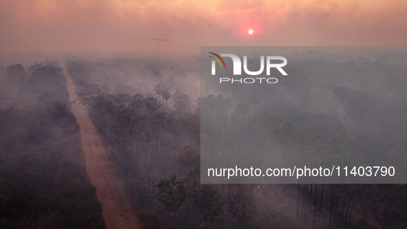 An area of endemic palm trees in the Pantanal, called Carandas, is burning out of control in Corumba, Brazil, on July 4, 2024. Despite the e...