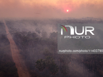 An area of endemic palm trees in the Pantanal, called Carandas, is burning out of control in Corumba, Brazil, on July 4, 2024. Despite the e...