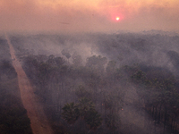 An area of endemic palm trees in the Pantanal, called Carandas, is burning out of control in Corumba, Brazil, on July 4, 2024. Despite the e...