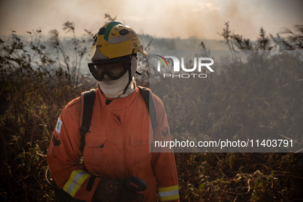 In Corumba, Brazil, on July 2, 2024, a firefighter is inspecting a recently controlled area on the plains of the Paraguay River in the Panta...