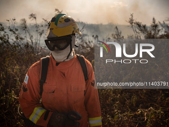 In Corumba, Brazil, on July 2, 2024, a firefighter is inspecting a recently controlled area on the plains of the Paraguay River in the Panta...