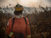 In Corumba, Brazil, on July 2, 2024, a firefighter is inspecting a recently controlled area on the plains of the Paraguay River in the Panta...