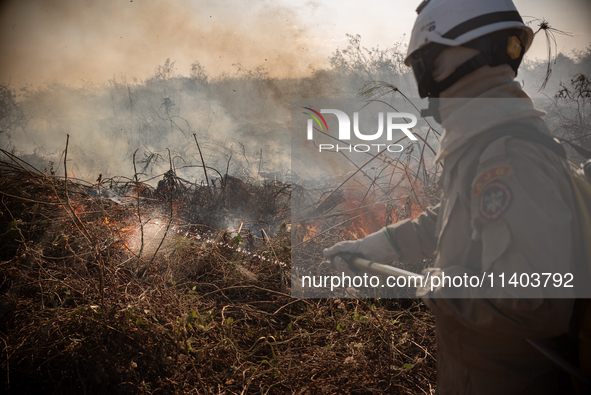 In Corumba, Brazil, on July 2, 2024, a firefighter is inspecting a recently controlled area on the plains of the Paraguay River in the Panta...