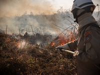 In Corumba, Brazil, on July 2, 2024, a firefighter is inspecting a recently controlled area on the plains of the Paraguay River in the Panta...