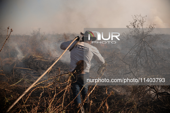 Divino Bispo Santiago, a 55-year-old field foreman, is working alongside firefighters and brigadiers to contain the flames in the Sao Bento...