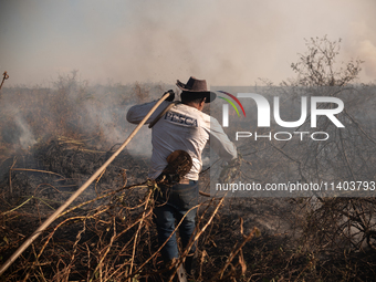 Divino Bispo Santiago, a 55-year-old field foreman, is working alongside firefighters and brigadiers to contain the flames in the Sao Bento...