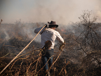 Divino Bispo Santiago, a 55-year-old field foreman, is working alongside firefighters and brigadiers to contain the flames in the Sao Bento...