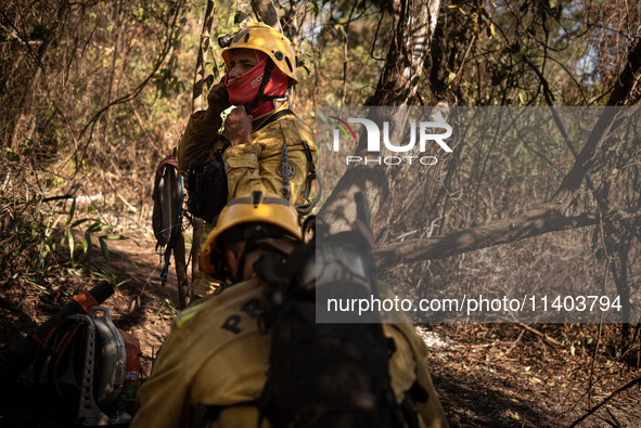 PrevFogo firefighters are facing the dense forest in an area of the Pantanal do Paiaguas, the flattest and most flooded part of the entire b...