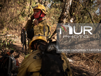 PrevFogo firefighters are facing the dense forest in an area of the Pantanal do Paiaguas, the flattest and most flooded part of the entire b...