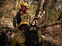 PrevFogo firefighters are facing the dense forest in an area of the Pantanal do Paiaguas, the flattest and most flooded part of the entire b...