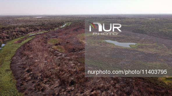 In Corumba, Brazil, on July 3, 2024, experts are saying that the areas most susceptible to the aggressive fires that have been occurring sin...