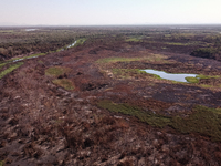 In Corumba, Brazil, on July 3, 2024, experts are saying that the areas most susceptible to the aggressive fires that have been occurring sin...