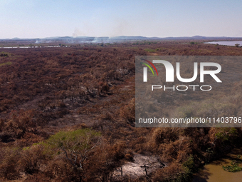 In Corumba, Brazil, on July 3, 2024, experts are saying that the areas most susceptible to the aggressive fires that have been occurring sin...