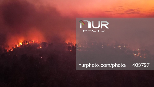 An area of Carandas near the Trunk Line of the Northwest Railway of Brazil is burning intensely despite efforts to control the flames in Cor...