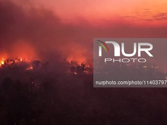 An area of Carandas near the Trunk Line of the Northwest Railway of Brazil is burning intensely despite efforts to control the flames in Cor...