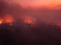 An area of Carandas near the Trunk Line of the Northwest Railway of Brazil is burning intensely despite efforts to control the flames in Cor...