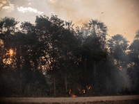 An area of Carandas near the Trunk Line of the Northwest Railway of Brazil is burning intensely despite efforts to control the flames in Cor...