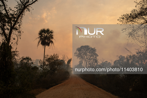 An area of Carandas near the Trunk Line of the Northwest Railway of Brazil is burning intensely despite efforts to control the flames in Cor...