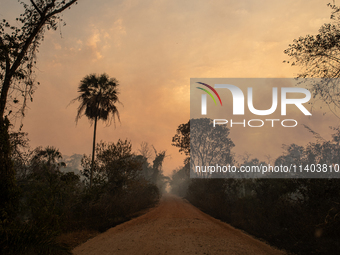 An area of Carandas near the Trunk Line of the Northwest Railway of Brazil is burning intensely despite efforts to control the flames in Cor...