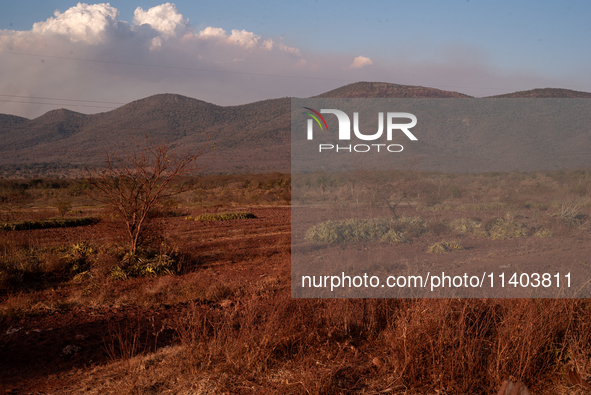 In Corumba, Brazil, on July 3, 2024, experts are saying that the areas most susceptible to the aggressive fires that have been occurring sin...