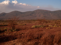 In Corumba, Brazil, on July 3, 2024, experts are saying that the areas most susceptible to the aggressive fires that have been occurring sin...