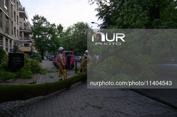 Firefighters are removing fallen trees after an overnight storm hit in Warsaw, Poland, on July 13, 2024. 