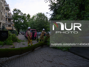 Firefighters are removing fallen trees after an overnight storm hit in Warsaw, Poland, on July 13, 2024. (