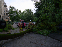 Firefighters are removing fallen trees after an overnight storm hit in Warsaw, Poland, on July 13, 2024. (