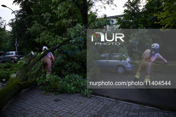 Firefighters are removing fallen trees after an overnight storm hit in Warsaw, Poland, on July 13, 2024. 