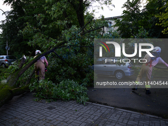 Firefighters are removing fallen trees after an overnight storm hit in Warsaw, Poland, on July 13, 2024. (