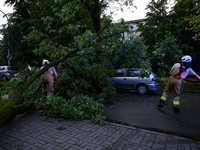 Firefighters are removing fallen trees after an overnight storm hit in Warsaw, Poland, on July 13, 2024. (