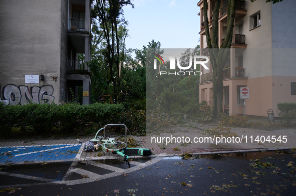 Fallen trees are being seen in the Mokotow district after an overnight storm is hitting Warsaw, Poland, on July 13, 2024. 